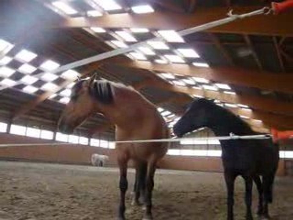 lundi 6 juillet 2009