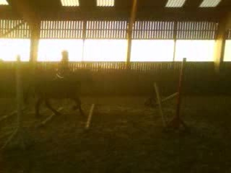 equitation
