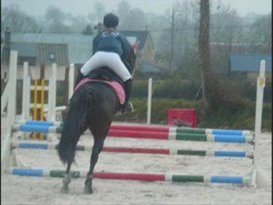 Hysop <3
