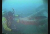 Scuba Diving Arabia & Forest City Shipwrecks by Dip 'N Dive