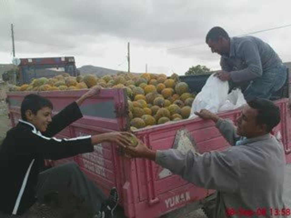 yunak bogrudelik koyu sami bayat