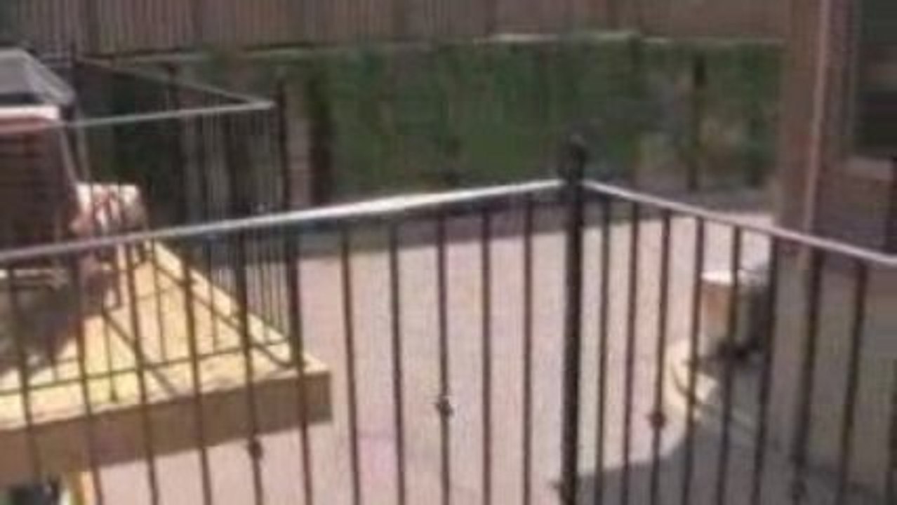 Ashely Mews Brownstone & Condominiums - Ann Arbor Michigan