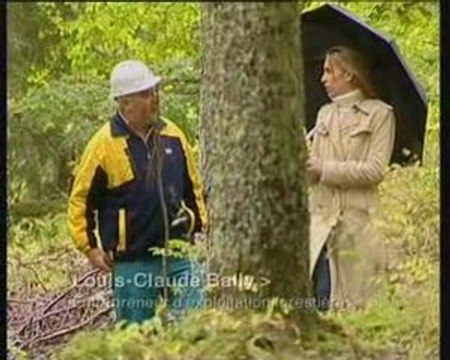 Un label pour le bois du Jura - les fugues franco-suisses