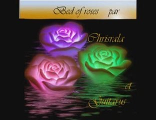 Bon Jovi - Bed of roses