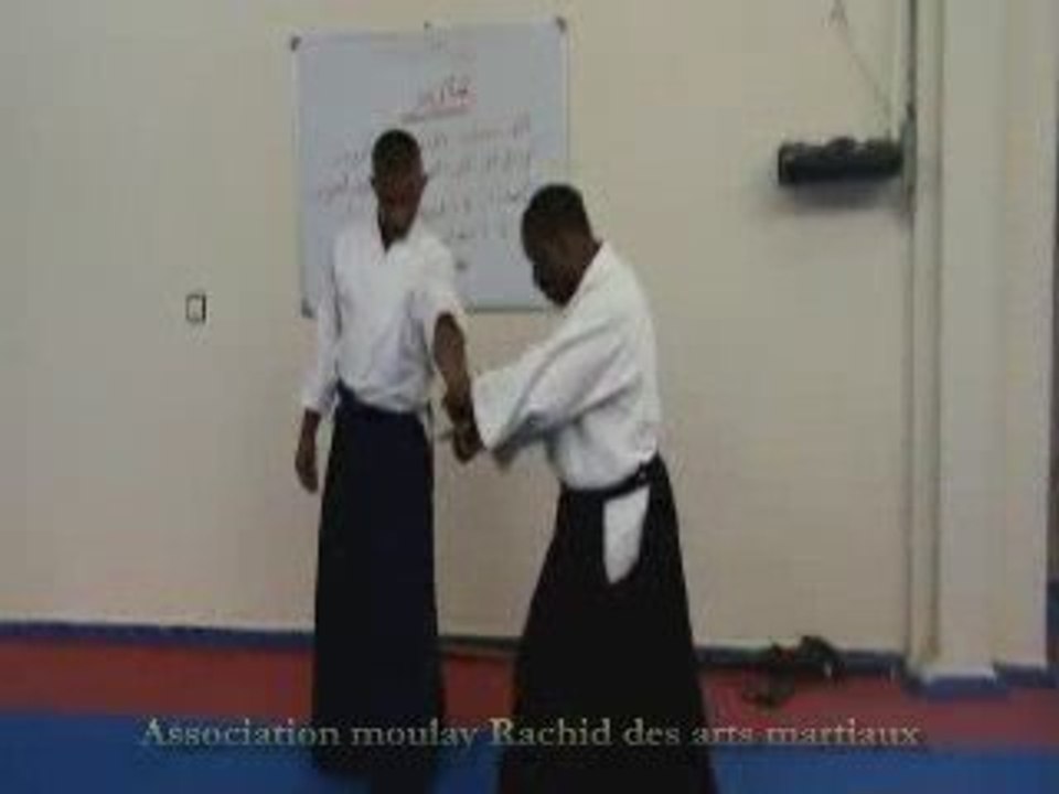 Aikido mihil part - 4