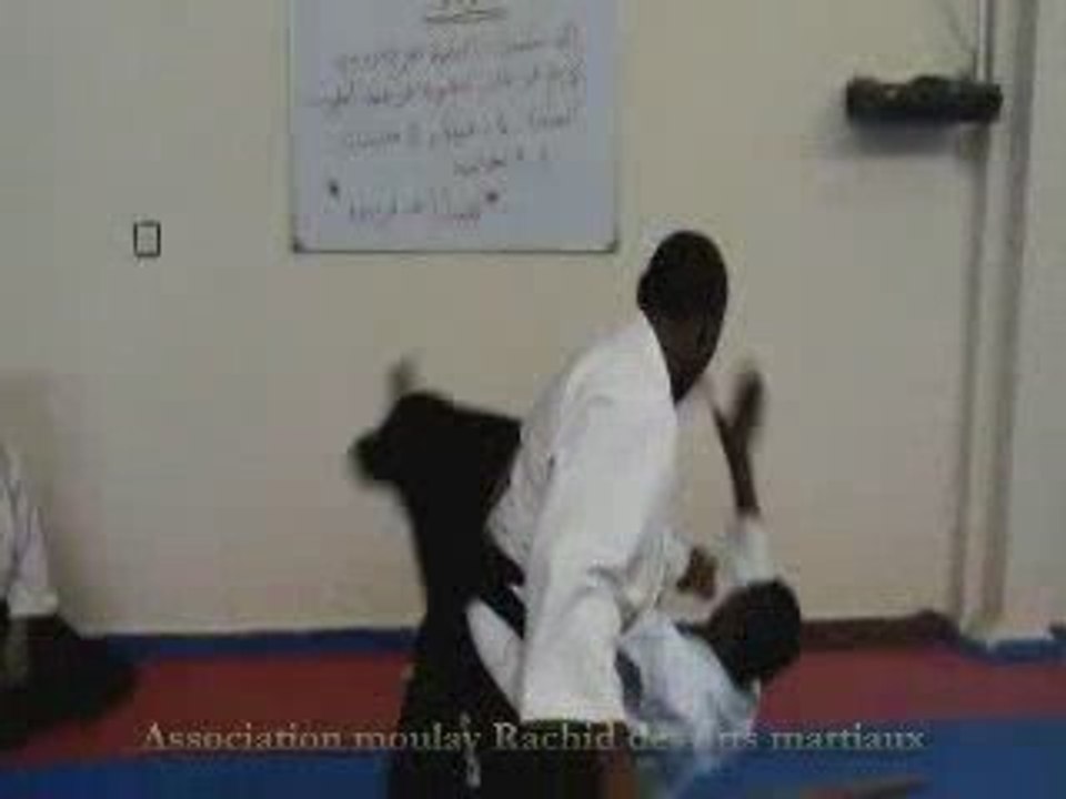 Aikido mihil part - 5