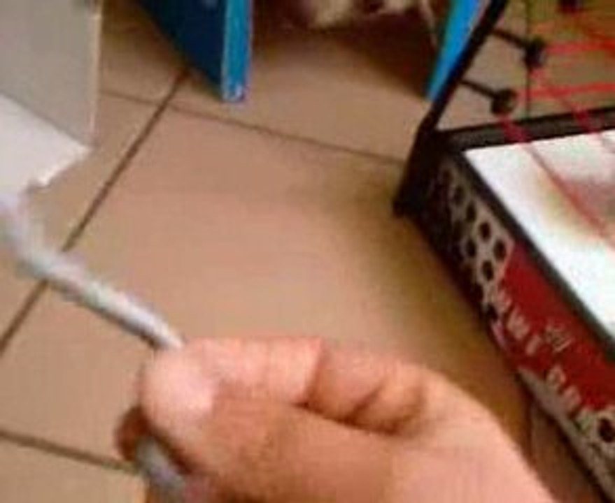 Mes figurines de catch