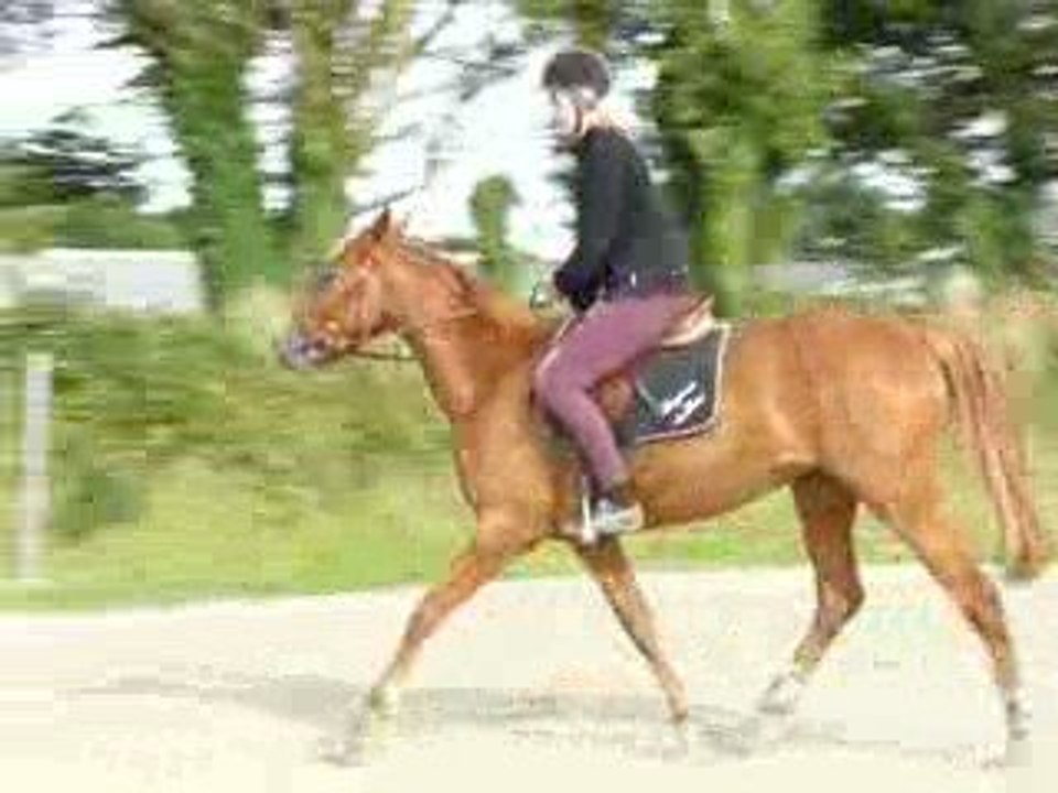 galop à main gauche