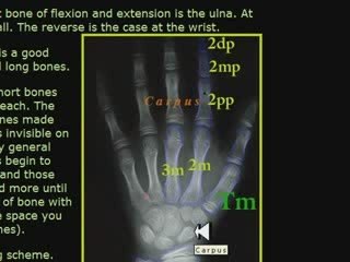 Quran and miracle of Fingerprints!