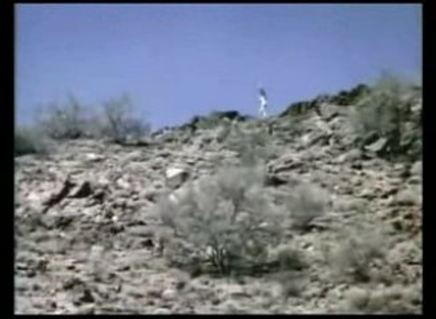 Up 1976 Full Movie