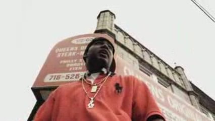 Skyzoo - The Beautiful Decay / NEW