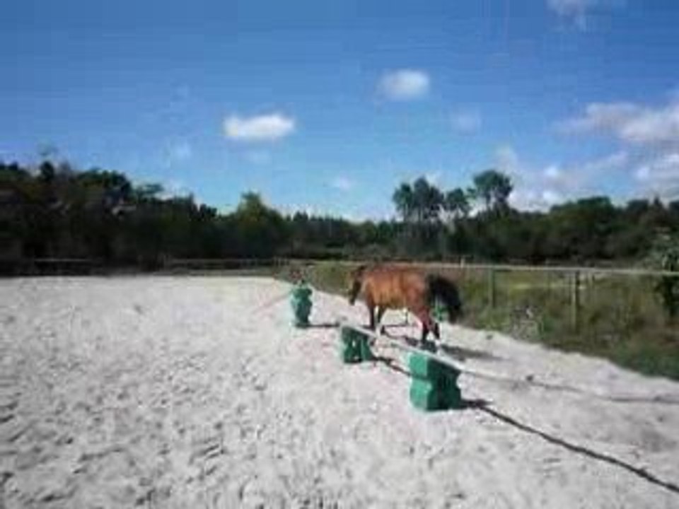 free jump
