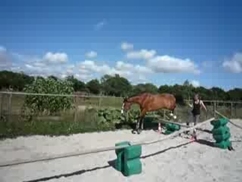 saut en liberté de loulou