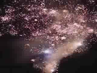 Feu d'artifice du 13 juillet 2009