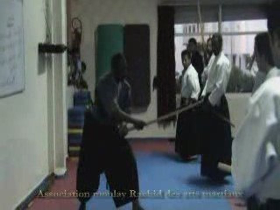 Aikido mihil part - 10