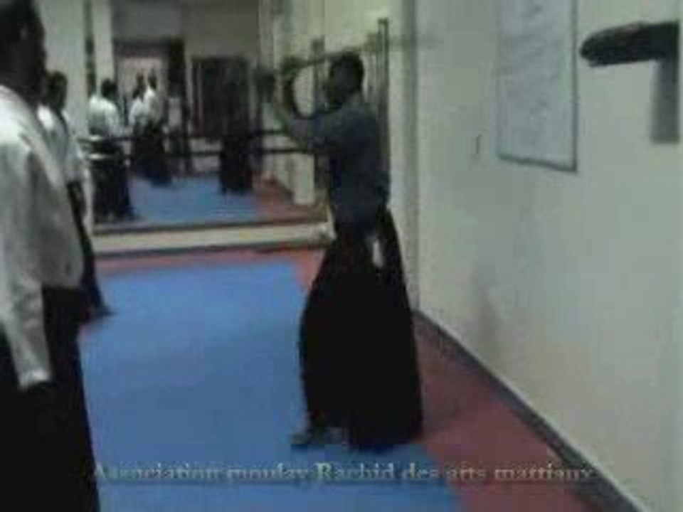 Aikido mihil part - 13