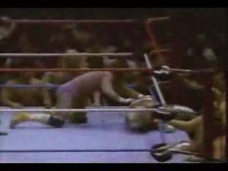 Hulk Hogan vs. Randy Savage - Lumberjack Match