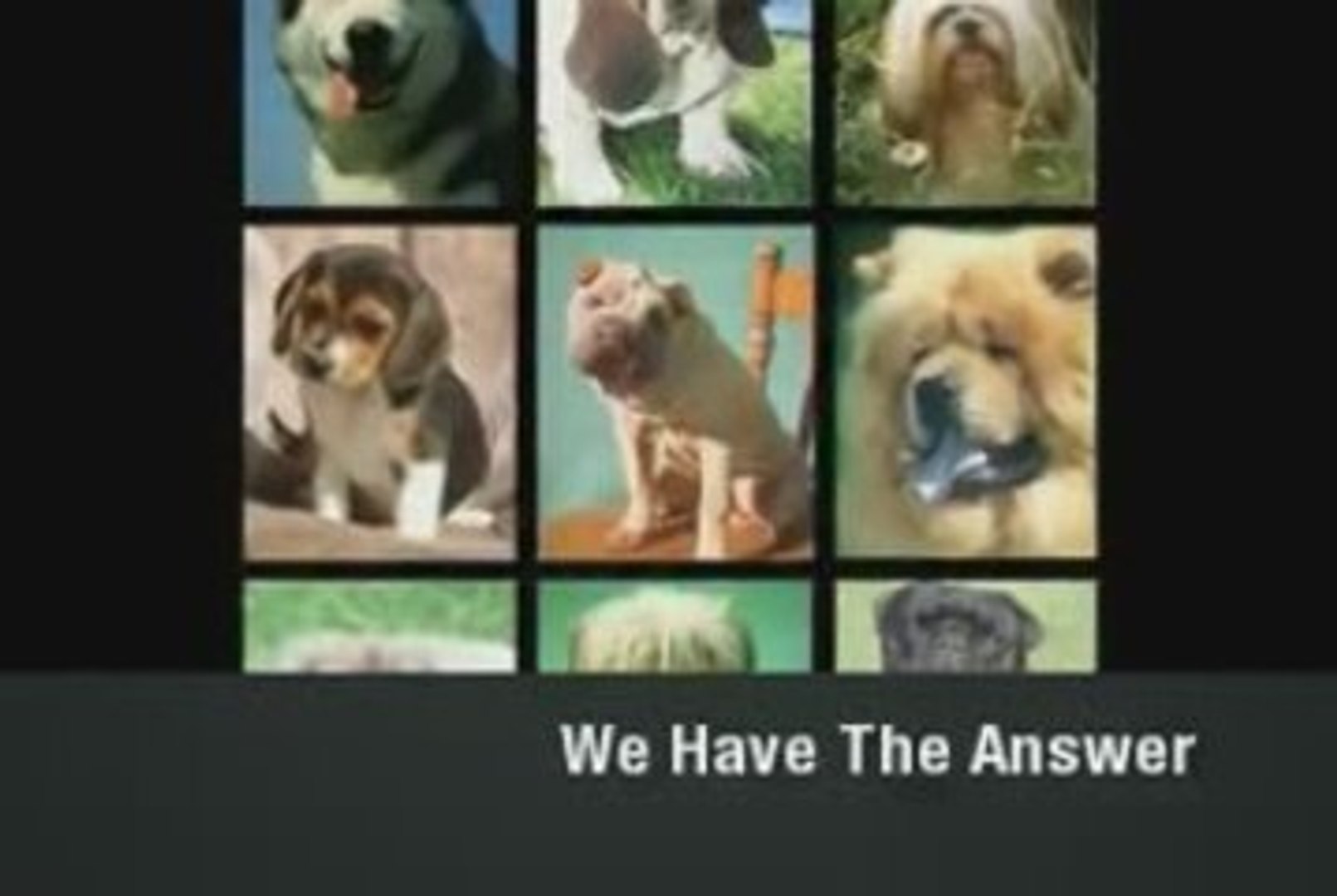 ⁣Dog Breeds Explained. All Dog Breeds Explained In Detail