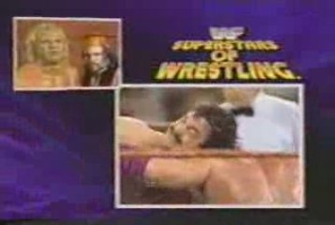 Rick Rude vs. Brutus Beefcake
