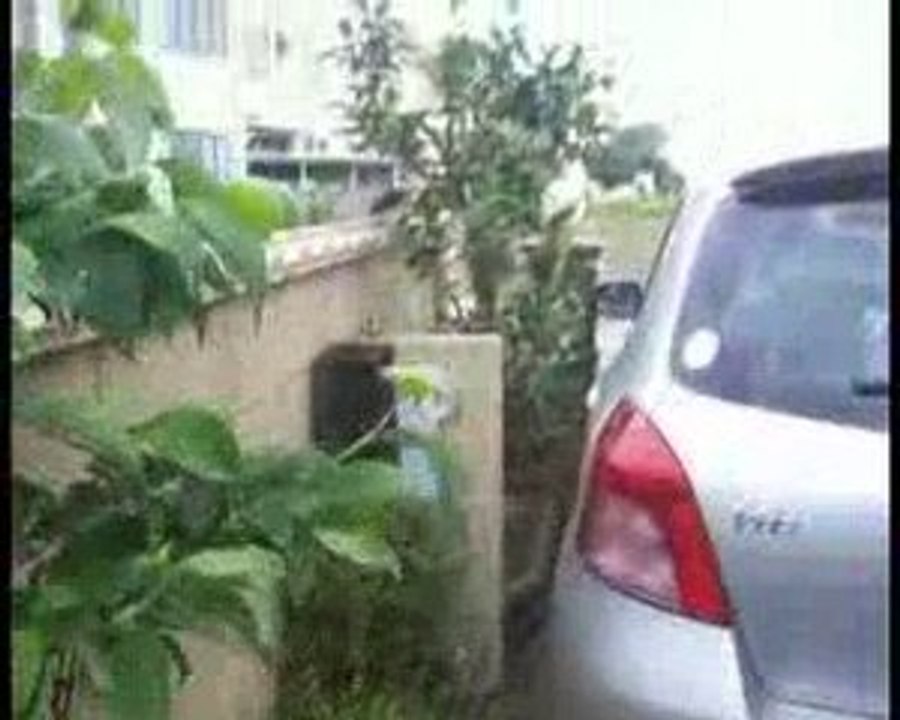 Japón desde otro ángulo:5. Los terremotos