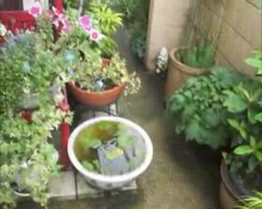 Japón desde otro ángulo:7 Quítate los zapatos!