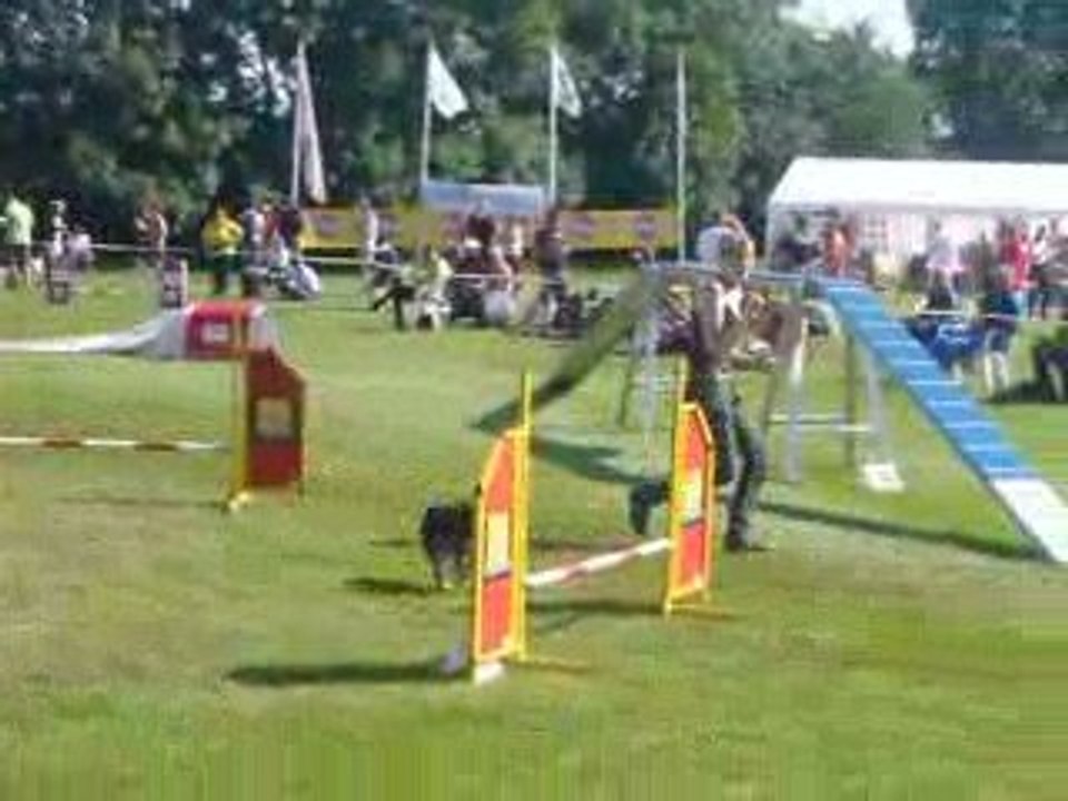 European Open Agility Hollande