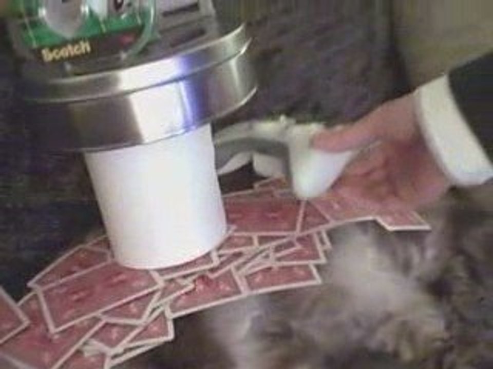 61-objets-chat