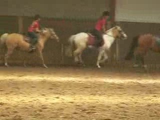 reprise equitation lecon