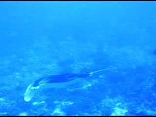 Et une deuxième tout aussi belle !!!