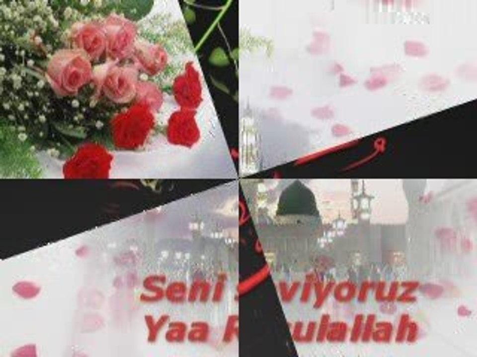 Sevdim Senin Mabudunu (Zara)