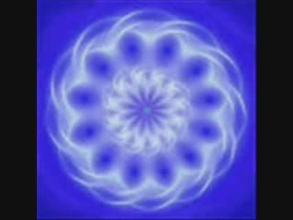 Les Zetas (petit gris, grand gris...) Part.1