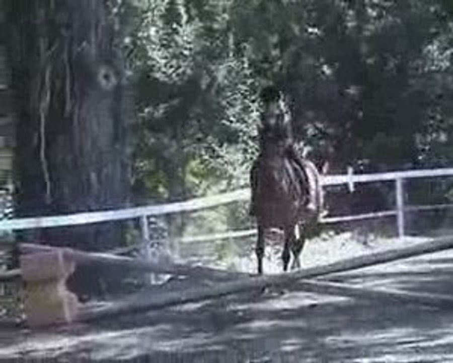cheval 2009_07_31_15_04_37