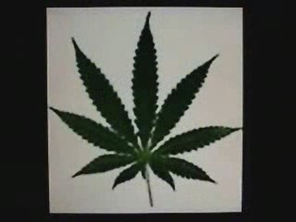 conspiration cannabis