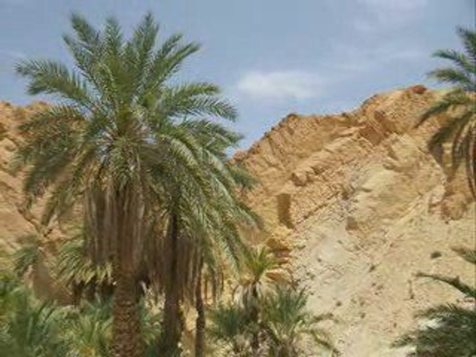 Voyage au bout du monde...