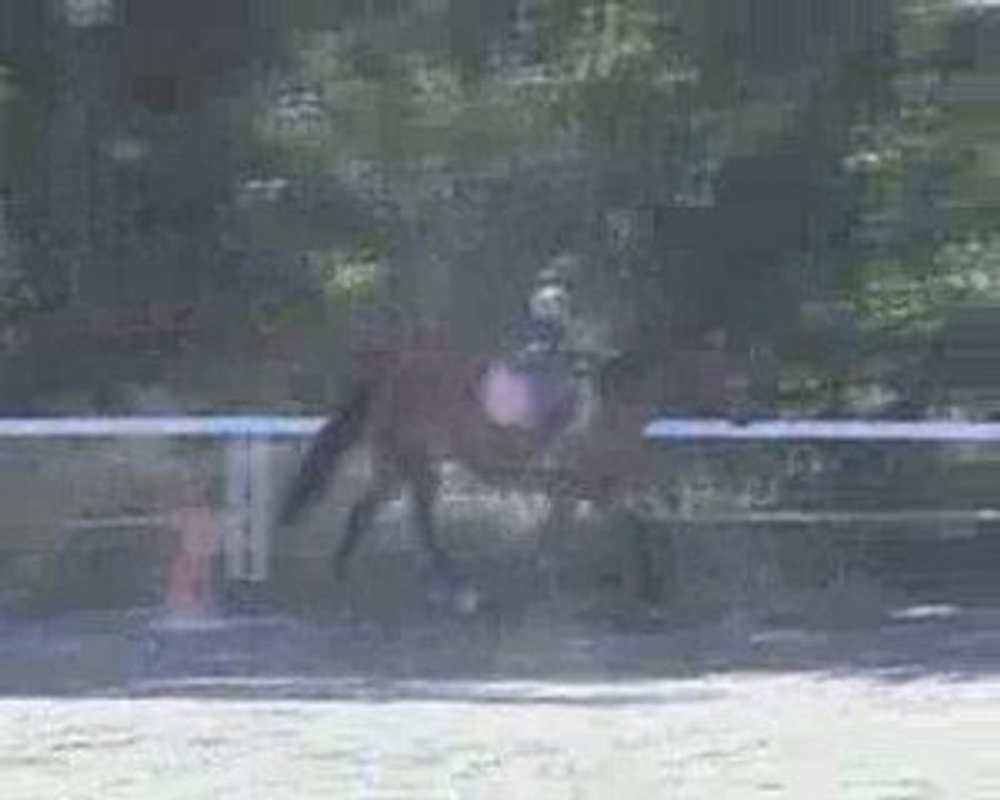 cheval 2009_07_31_14_58_39