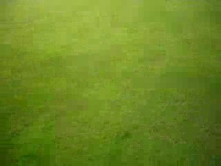 24 Juillet > Course poursuite