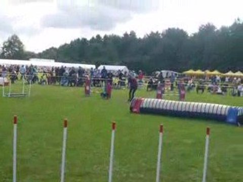 jumping 1 European Open Agility Hollande