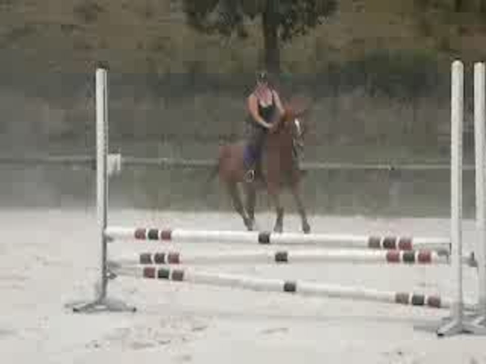 dodyle saut eventail.00