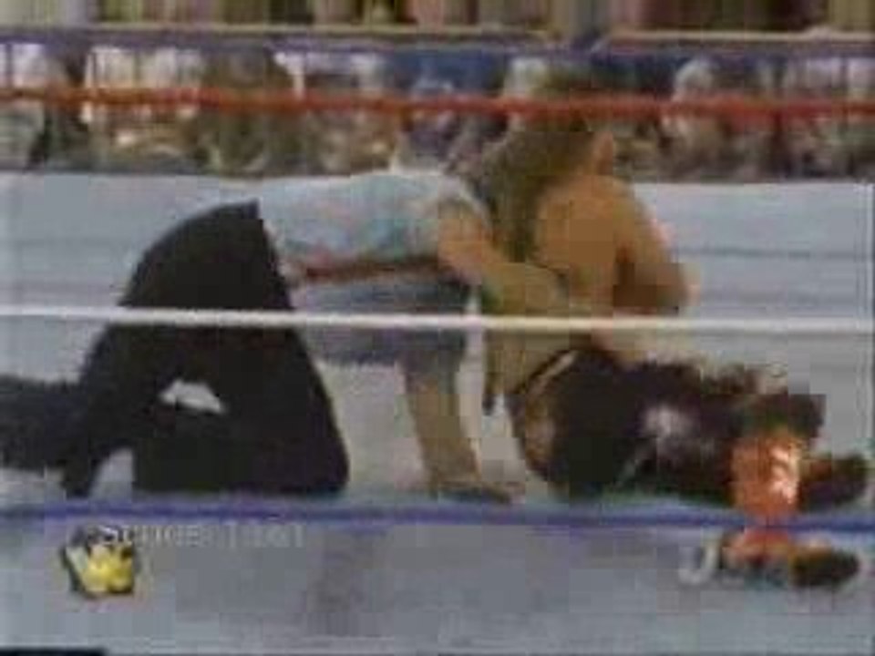 IRS vs. Shawn Michaels