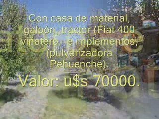 Finca en producción en San Rafael, Mendoza, Argentina