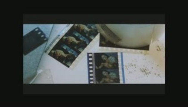 Yellow Tricycle (Damien Saez) - White Noise