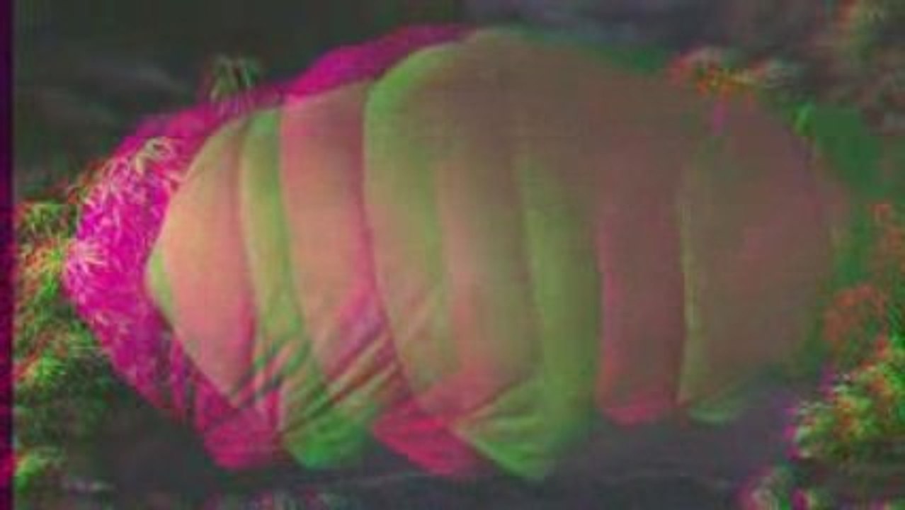 Journey to the Center of the Earth (2008) in 3D