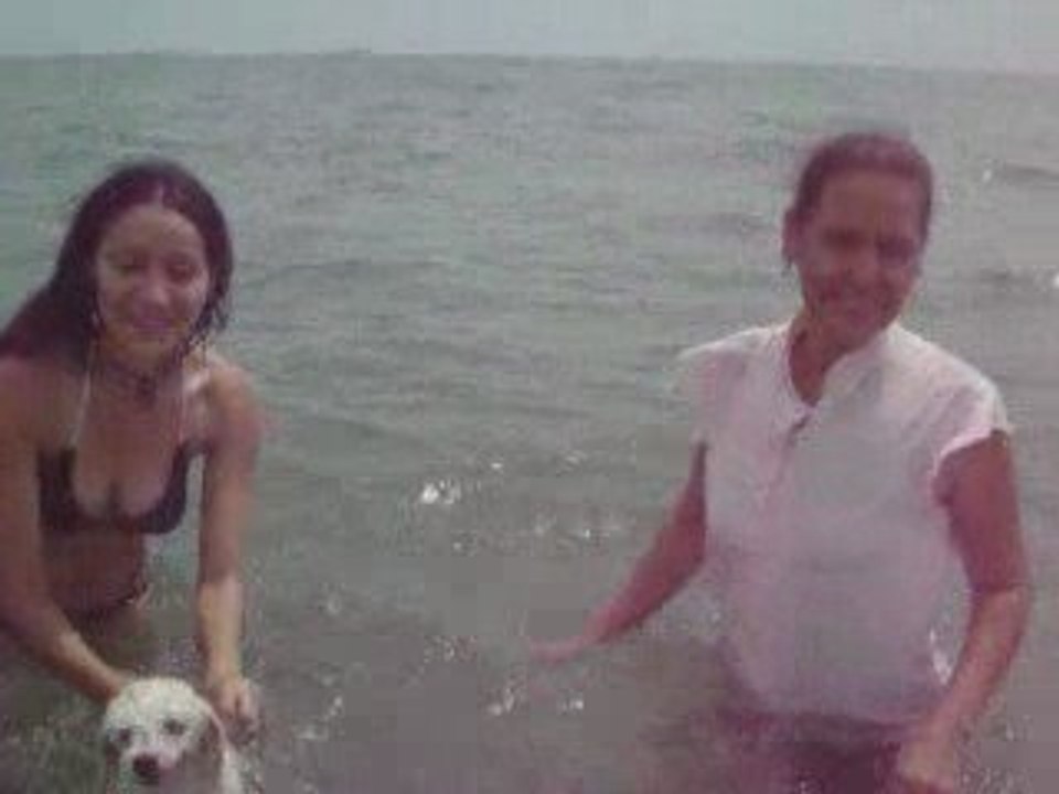 IROTAMA, santa marta