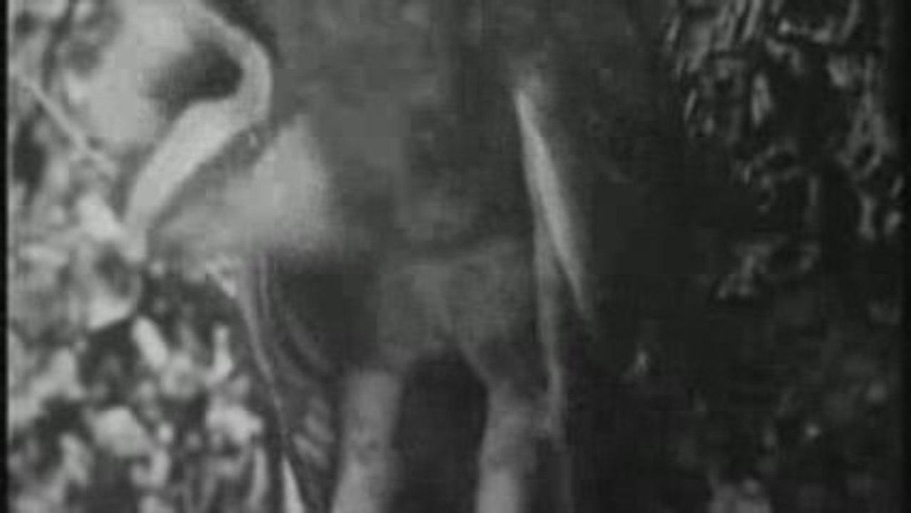 Sick Muse Video
