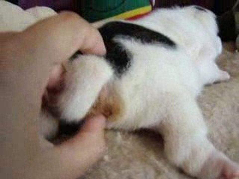 31.07.09 eliot 2 semaines