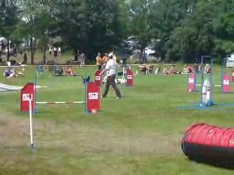 jumping2 European Open Agility Hollande