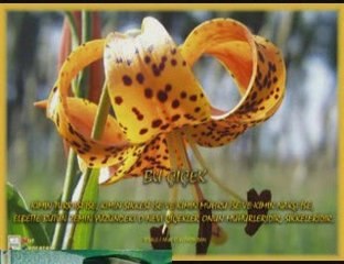 zikirli ilahiler affeder allahım