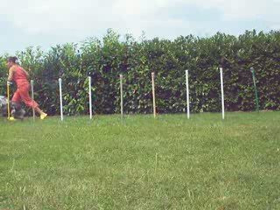 slalom cox