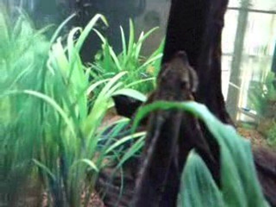 V010809_11.54