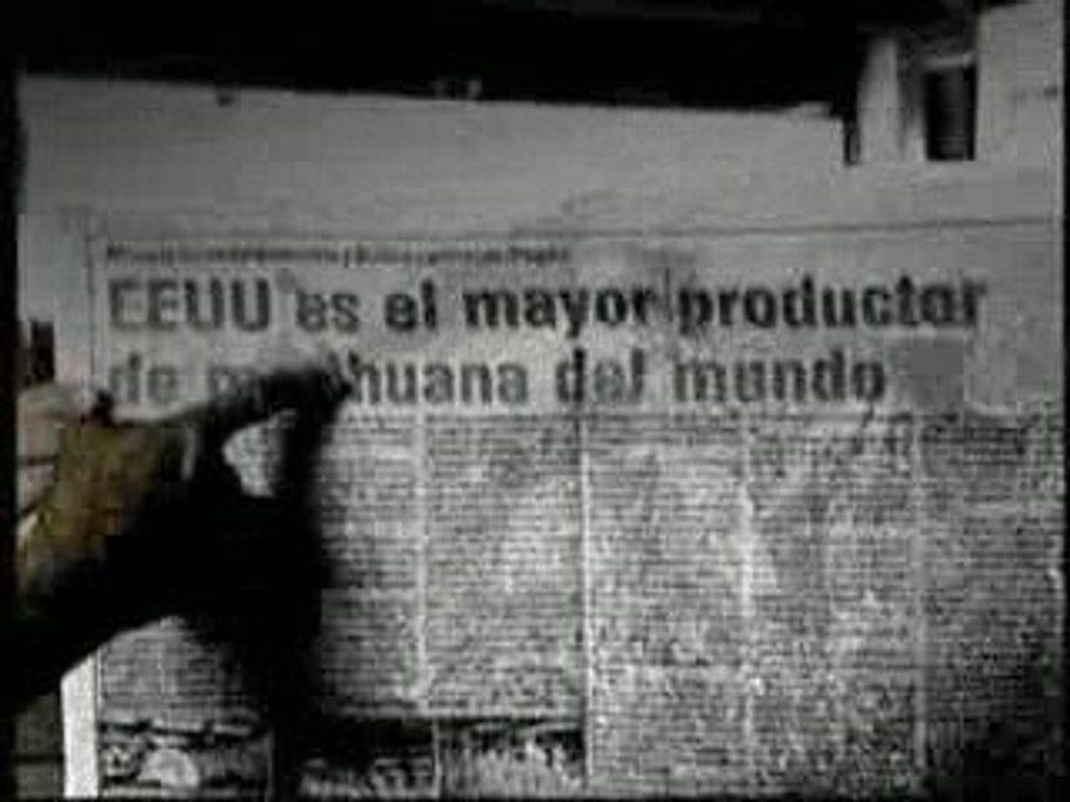 Bodega